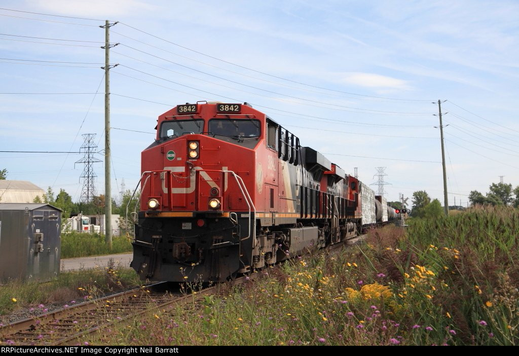 CN 3842